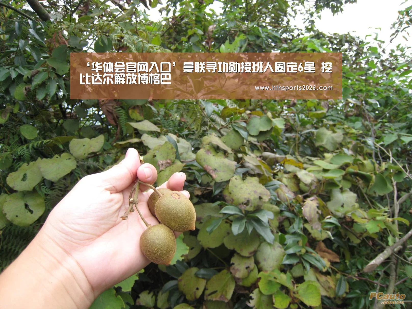 hth官网