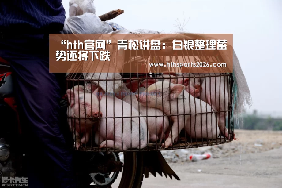 华体会官网入口